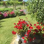 Spacieuse Avec Piscine Au Milieu Des Vignes