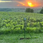 Spacieuse Avec Piscine Au Milieu Des Vignes