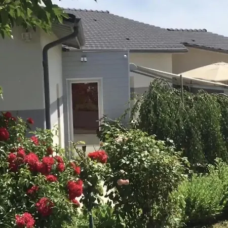 Spacieuse Avec Piscine Au Milieu Des Vignes