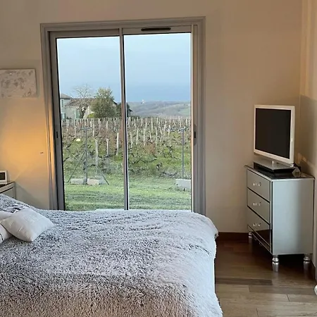 Villa Spacieuse Avec Piscine Au Milieu Des Vignes