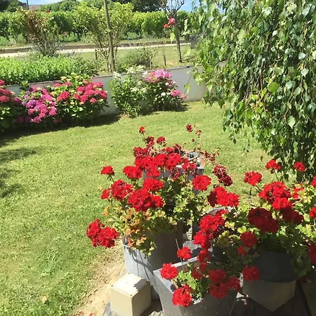 Spacieuse Avec Piscine Au Milieu Des Vignes