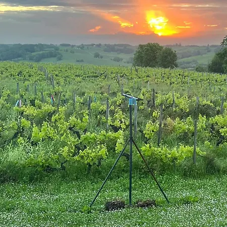 Spacieuse Avec Piscine Au Milieu Des Vignes