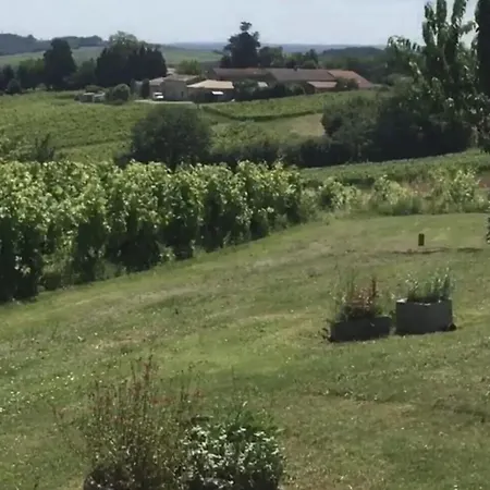 Spacieuse Avec Piscine Au Milieu Des Vignes Villa Sainte-Croix-du-Mont