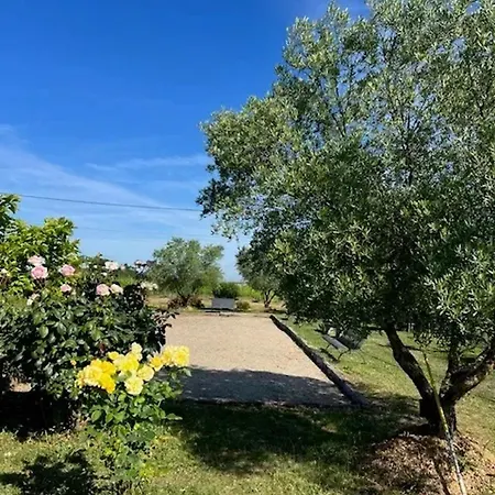 Spacieuse Avec Piscine Au Milieu Des Vignes Villa Sainte-Croix-du-Mont