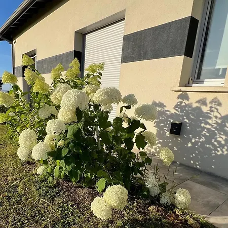 Spacieuse Avec Piscine Au Milieu Des Vignes *