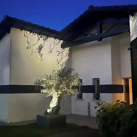 Spacieuse Avec Piscine Au Milieu Des Vignes Villa