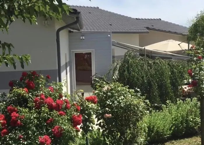 Spacieuse Avec Piscine Au Milieu Des Vignes