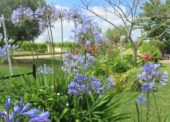 Spacieuse Avec Piscine Au Milieu Des Vignes