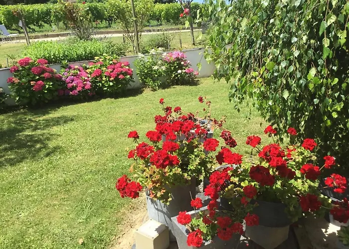 Spacieuse Avec Piscine Au Milieu Des Vignes