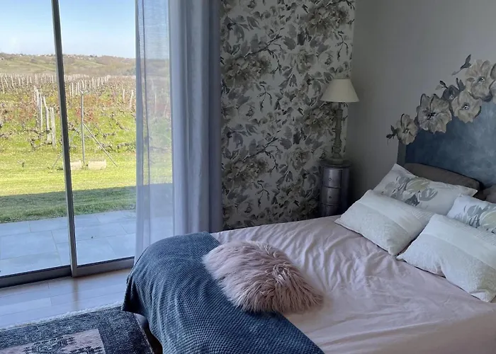 Villa Spacieuse Avec Piscine Au Milieu Des Vignes Sainte-Croix-du-Mont