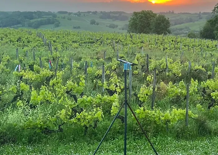 Spacieuse Avec Piscine Au Milieu Des Vignes