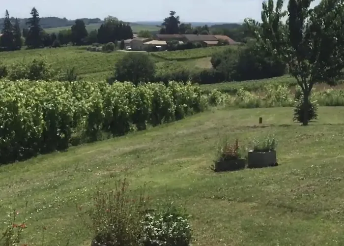 Spacieuse Avec Piscine Au Milieu Des Vignes Villa Sainte-Croix-du-Mont