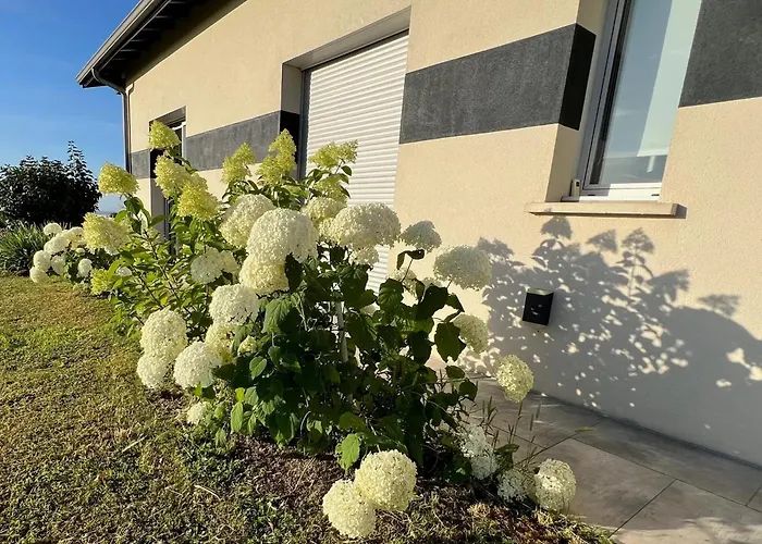 Spacieuse Avec Piscine Au Milieu Des Vignes *