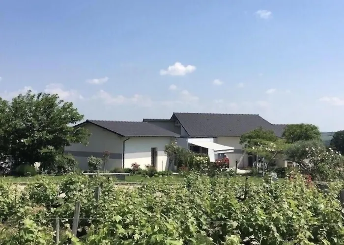 Spacieuse Avec Piscine Au Milieu Des Vignes Villa